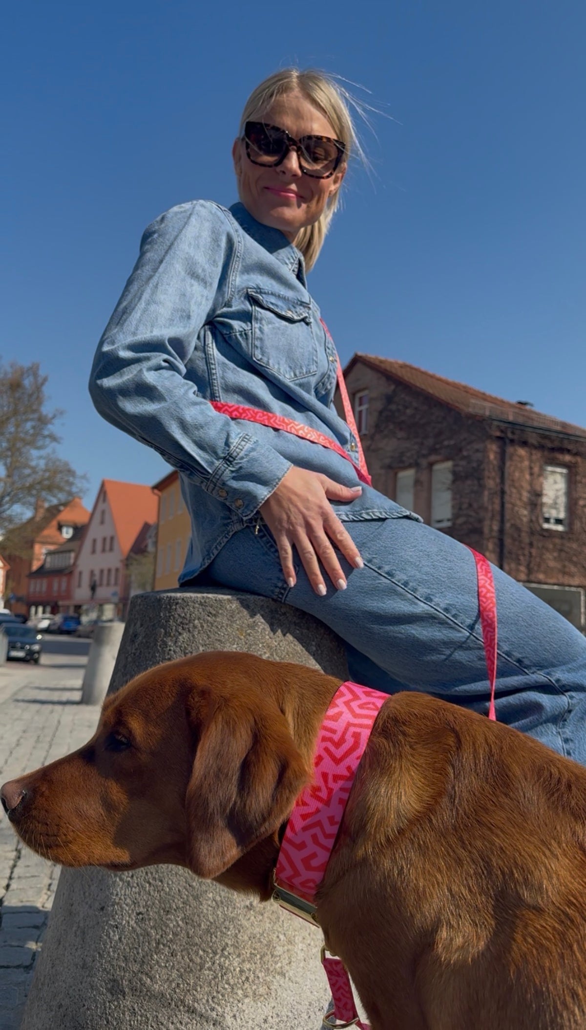 isartau Hundeleine und Hundehalsband „Sweety“ am Labrador