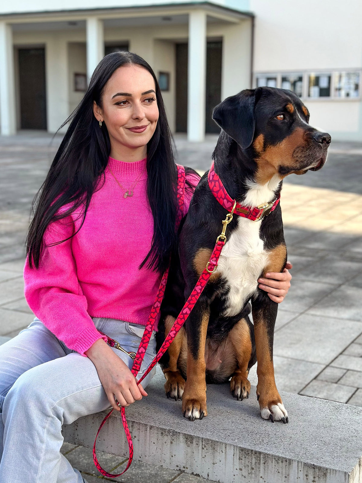Großer Schweizer Sennenhund mit Halsband und Leinen Set im Design Herzklopfen, Herzprint in Rot
