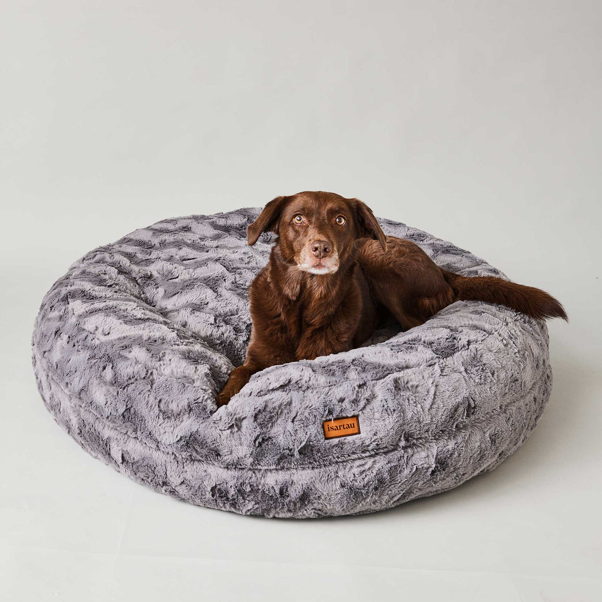 Aussiedor in Hundebett Bagelbettchen Grau, Größe M