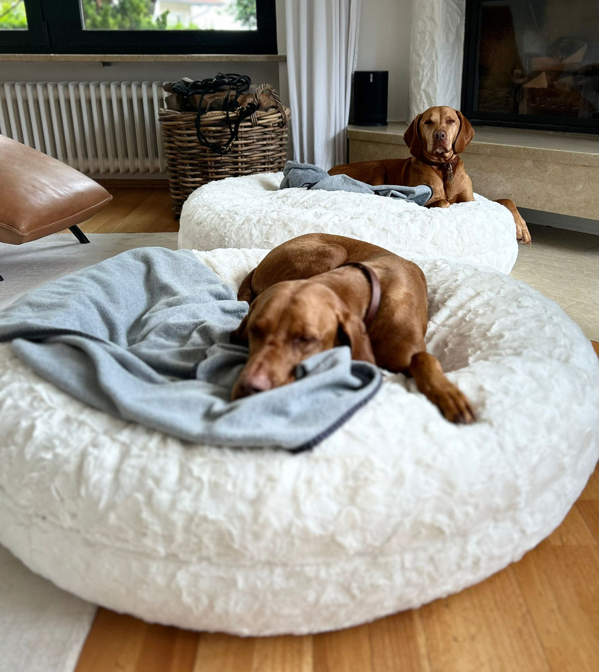isartau Vizsla Gustl und Poldi im Bagelbettchen Kunstfell Wollweiß, Größe L