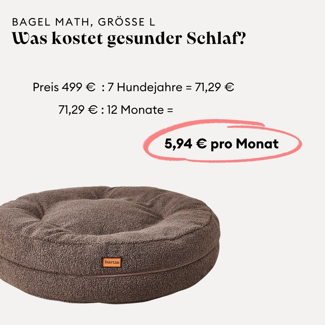 Grafik_Kostenrechnung_Bagelbettchen_Groesse_L