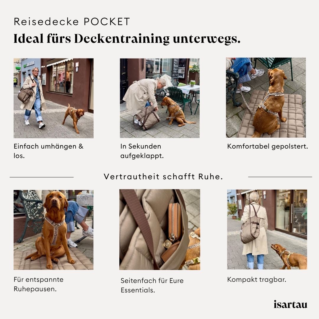 isartau Grafik zum Deckentraining mit der Hunde Reisedecke POCKET, Sarah und Nala