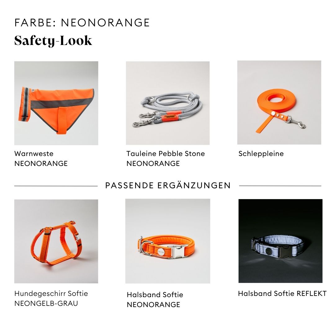isartau Hundewarnweste Neonorange mit passendem Halsband und passender Leine
