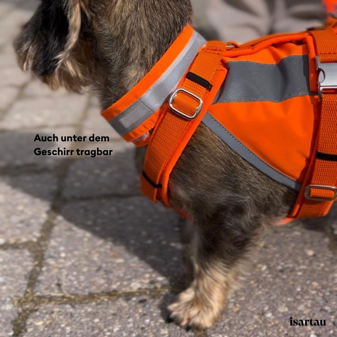 Hundewarnweste unter dem Brustgeschirr tragen ohne Druckstellen
