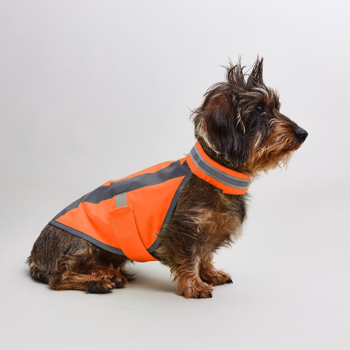 Hundewarnweste Neonorange
