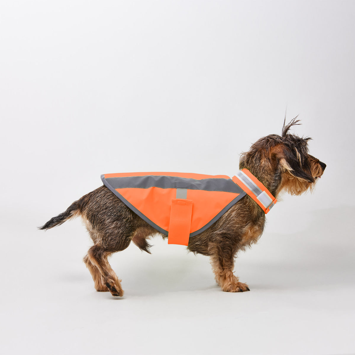 Hundewarnweste Neonorange