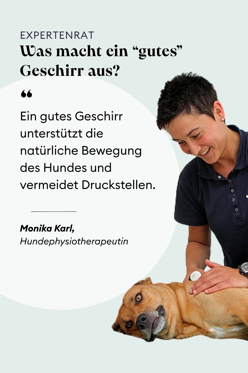 Hundegeschirr von der Hundephysio empfohlen
