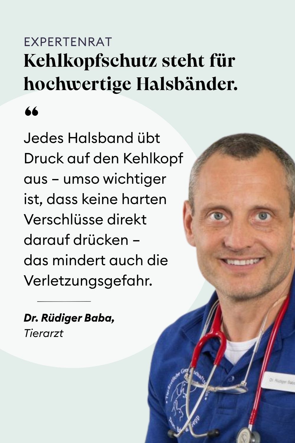 Hundehalsbänder mit Kehlkopfschutz vom Tierarzt empfohlen