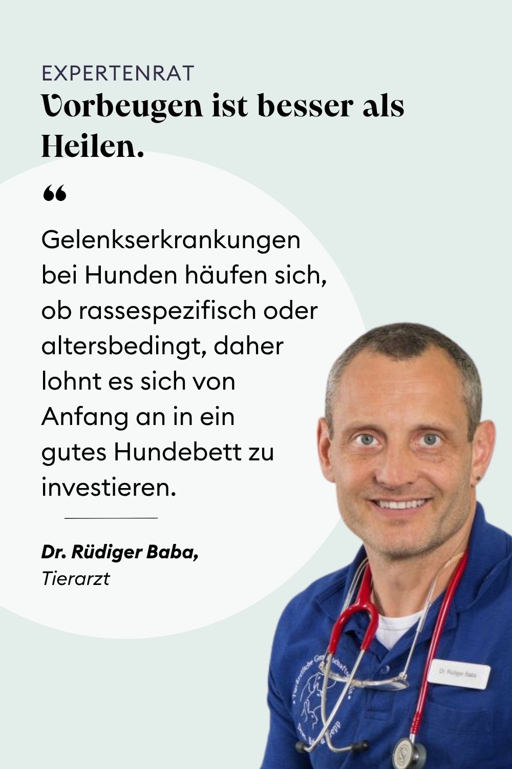 empfehlung vom Tierarzt für gelenkschonende Hundebetten