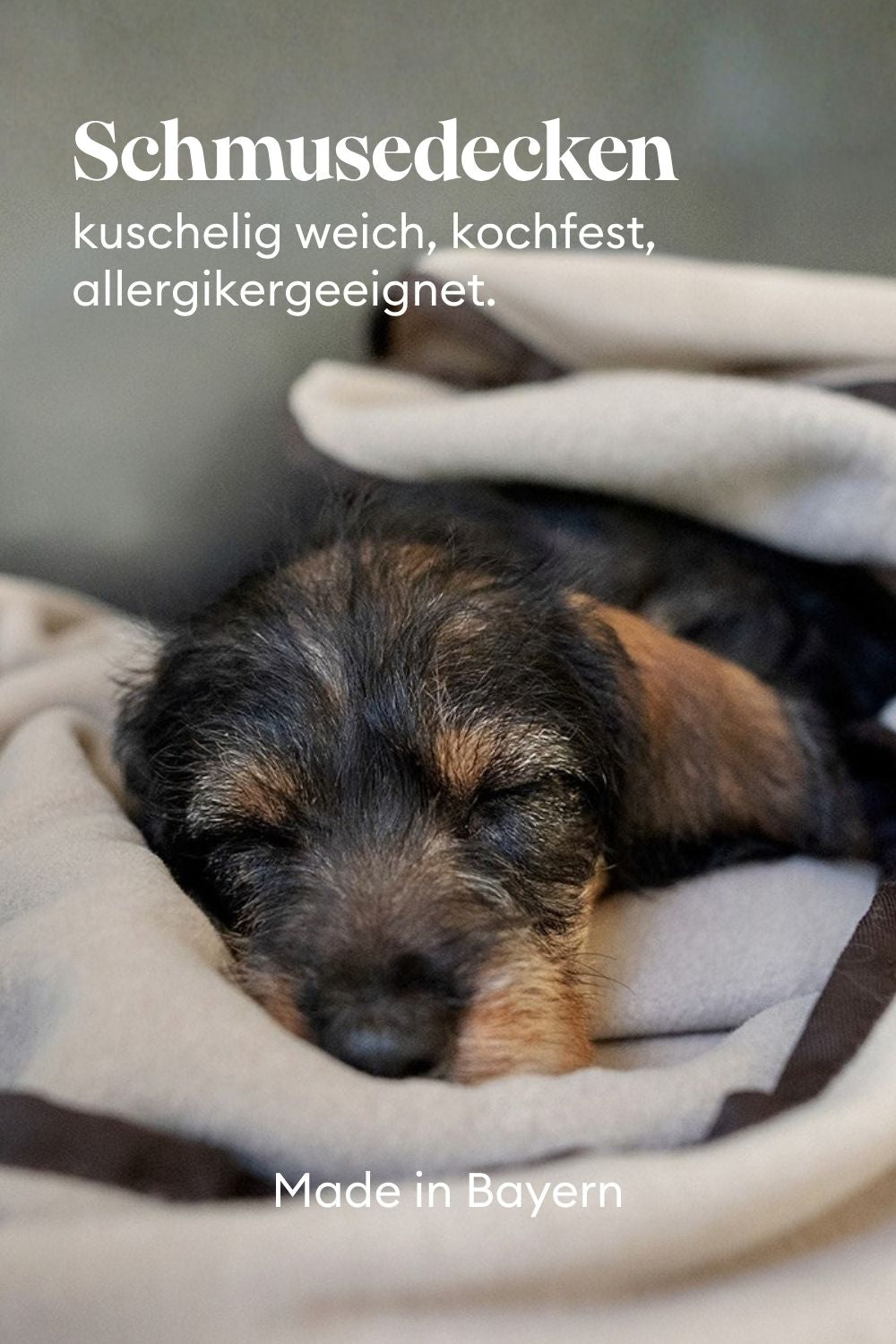 Weiche Hundedecken, kochfest, allergikergeeignet