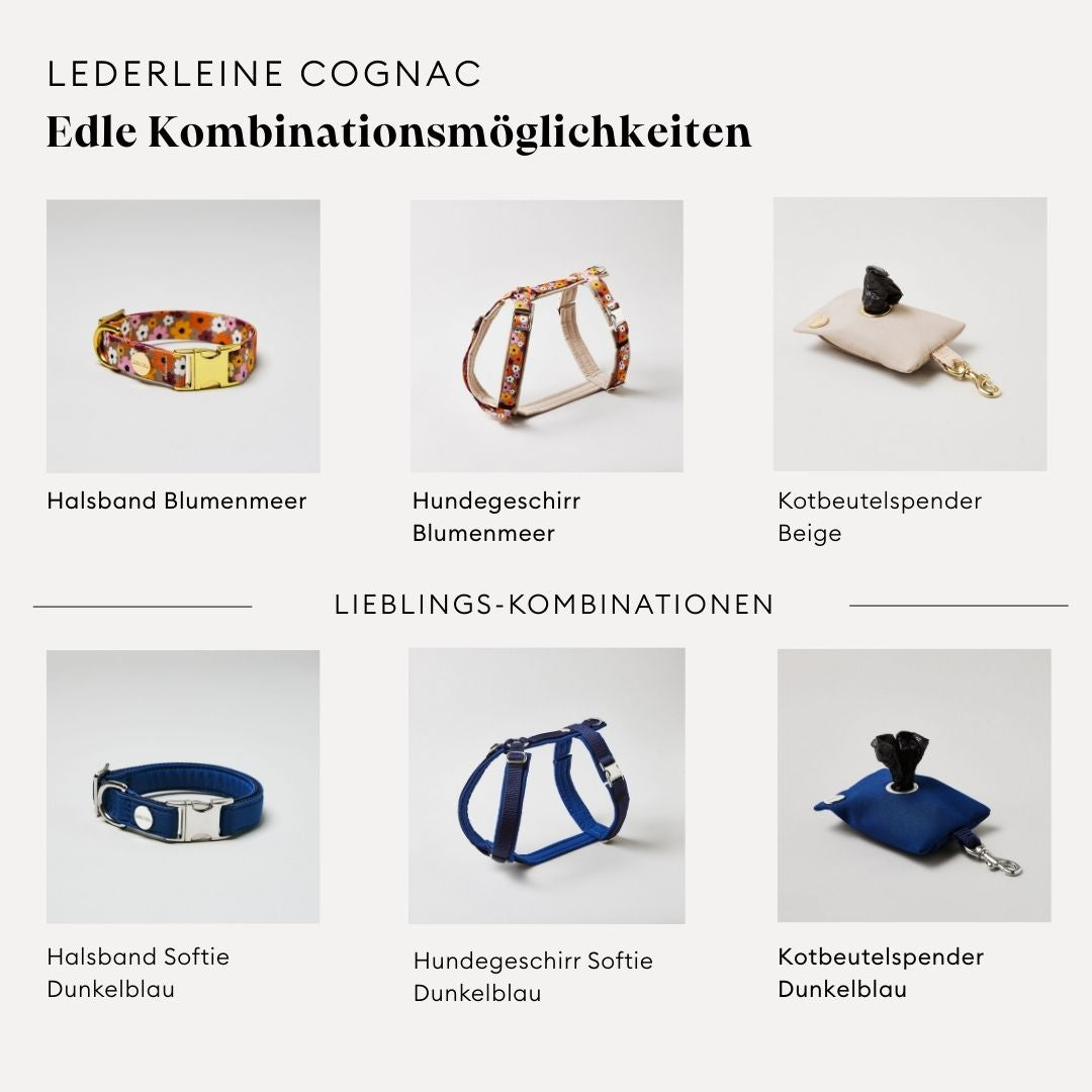 isartau Lederleine in Cognac, Kombinationsmöglichkeiten mit Halsband, Geschirr und Kotbeutelspender