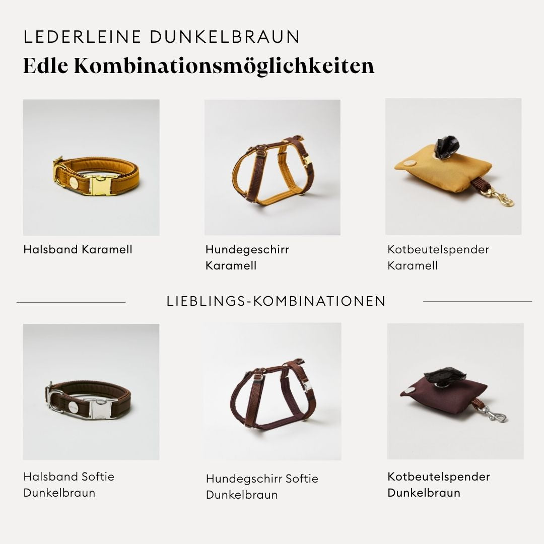 isartau Lederleine in Dunkelbraun, Kombinationsmöglichkeiten mit Halsband, Geschirr und Kotbeutelspender