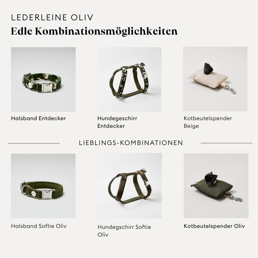 isartau Lederleine in Oliv, Kombinationsmöglichkeiten mit Halsband, Geschirr und Kotbeutelspender