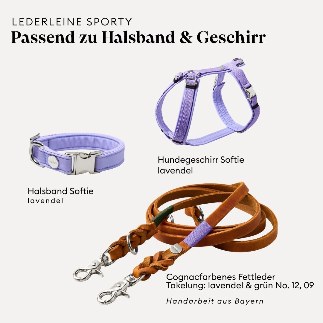 isartau Lederleine SPORTY in Cognac, passend zu Halsband und Geschirr Softie in Lavendel