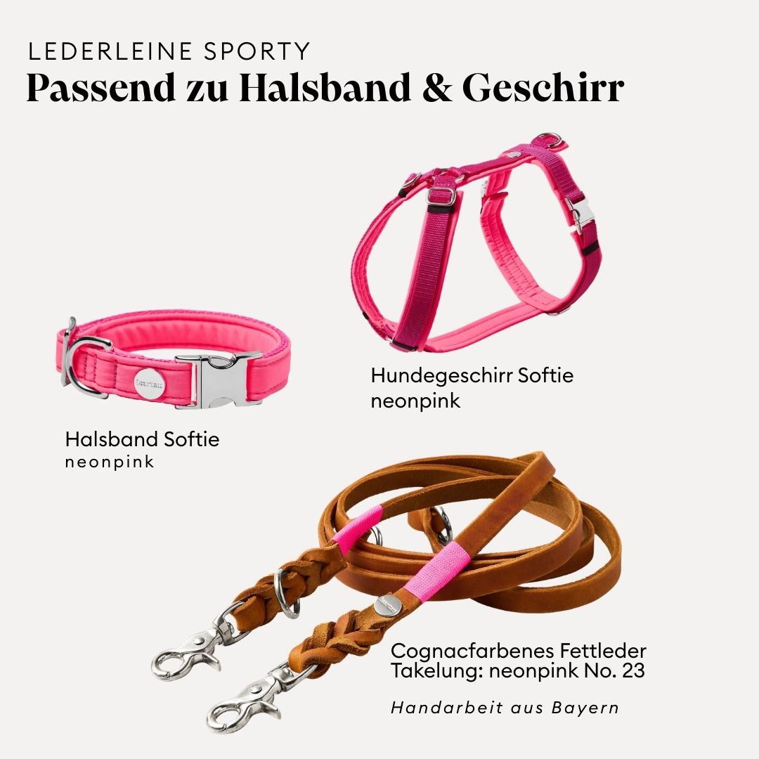isartau Lederleine SPORTY in Cognac, passend zu Halsband und Geschirr Softie in Neonpink