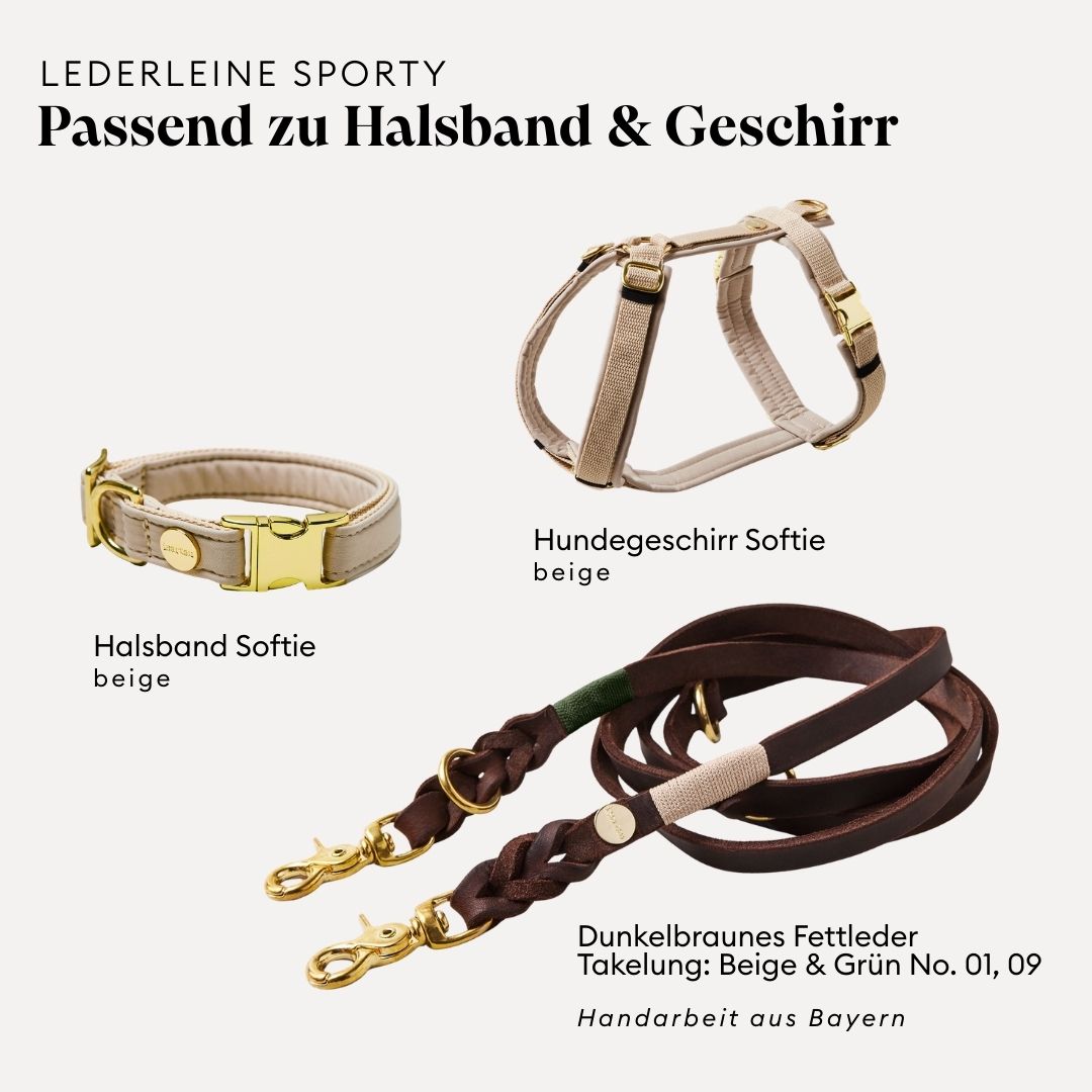 isartau Lederleine SPORTY in Dunkelbraun, passend zu Halsband und Geschirr Softie in Beige