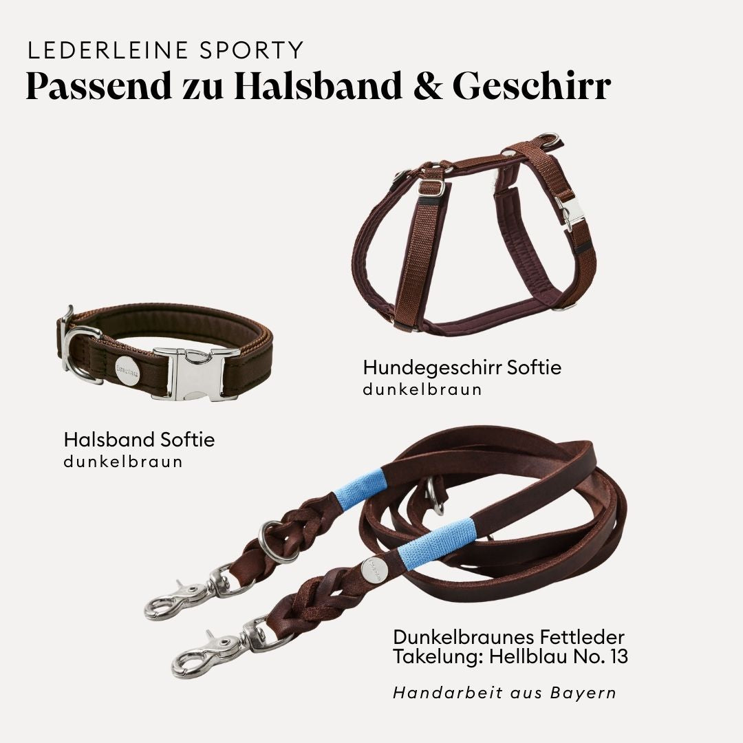isartau Lederleine SPORTY in Dunkelbraun, passend zu Halsband und Geschirr Softie in Dunkelbraun