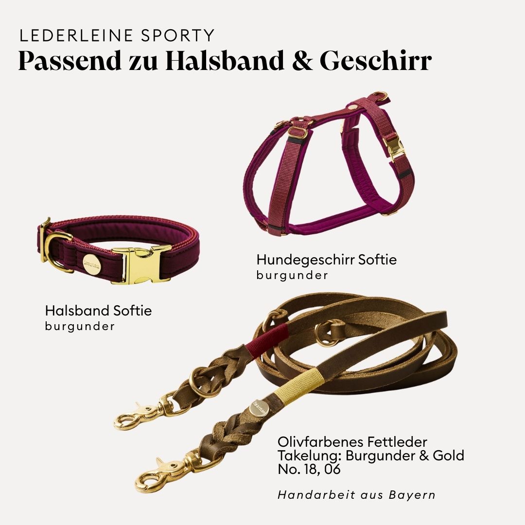 isartau Lederleine SPORTY in Oliv, passend zu Halsband und Geschirr Softie in Burgunder