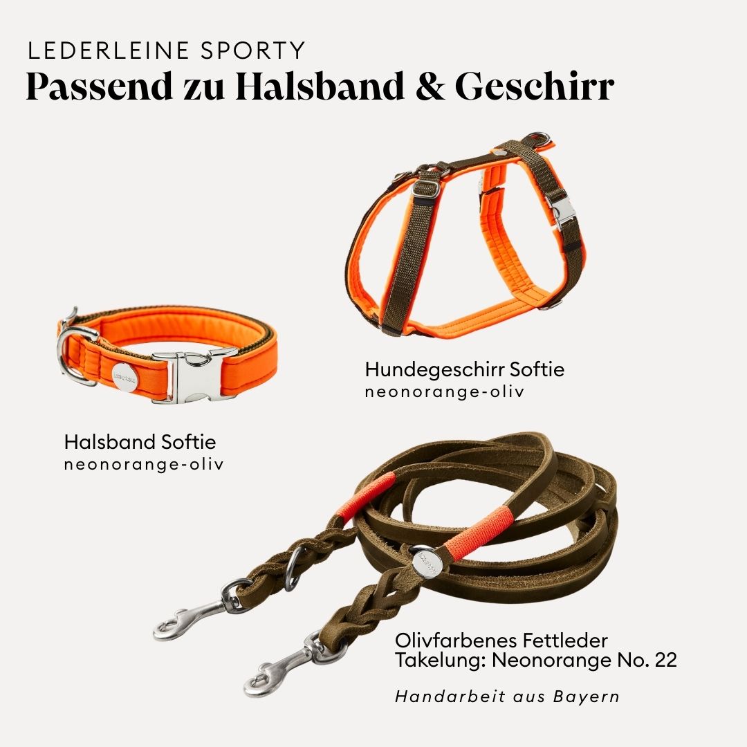 isartau Lederleine SPORTY in Oliv, passend zu Halsband und Geschirr Softie in Neonorange-Oliv