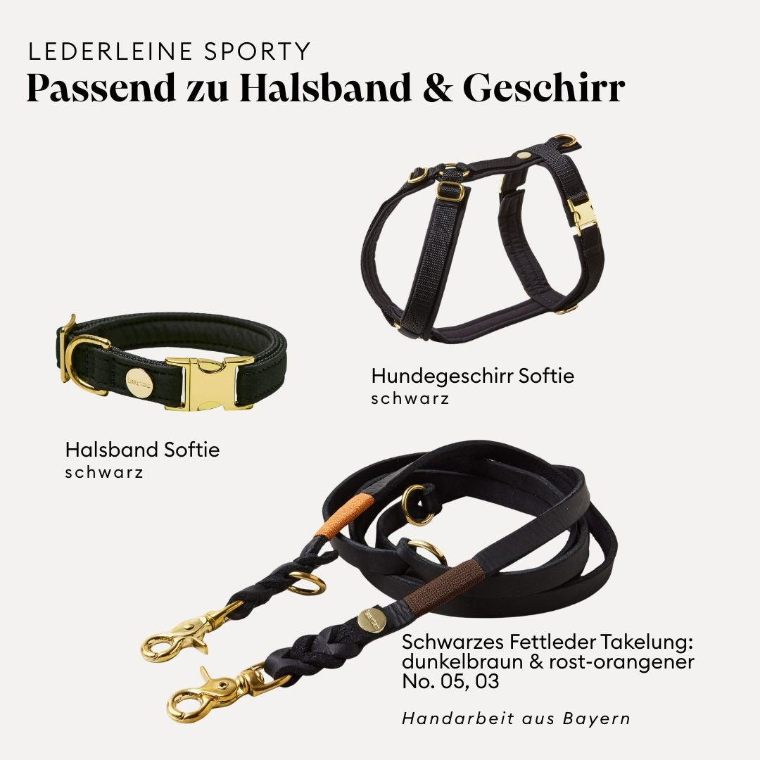isartau Lederleine SPORTY in Schwarz, passend zu Halsband und Geschirr Softie in Oliv