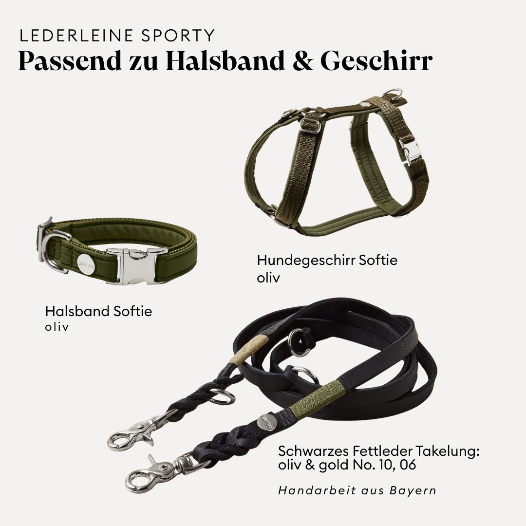 isartau Lederleine SPORTY in Schwarz, passend zu Halsband und Geschirr Softie in Schwarz