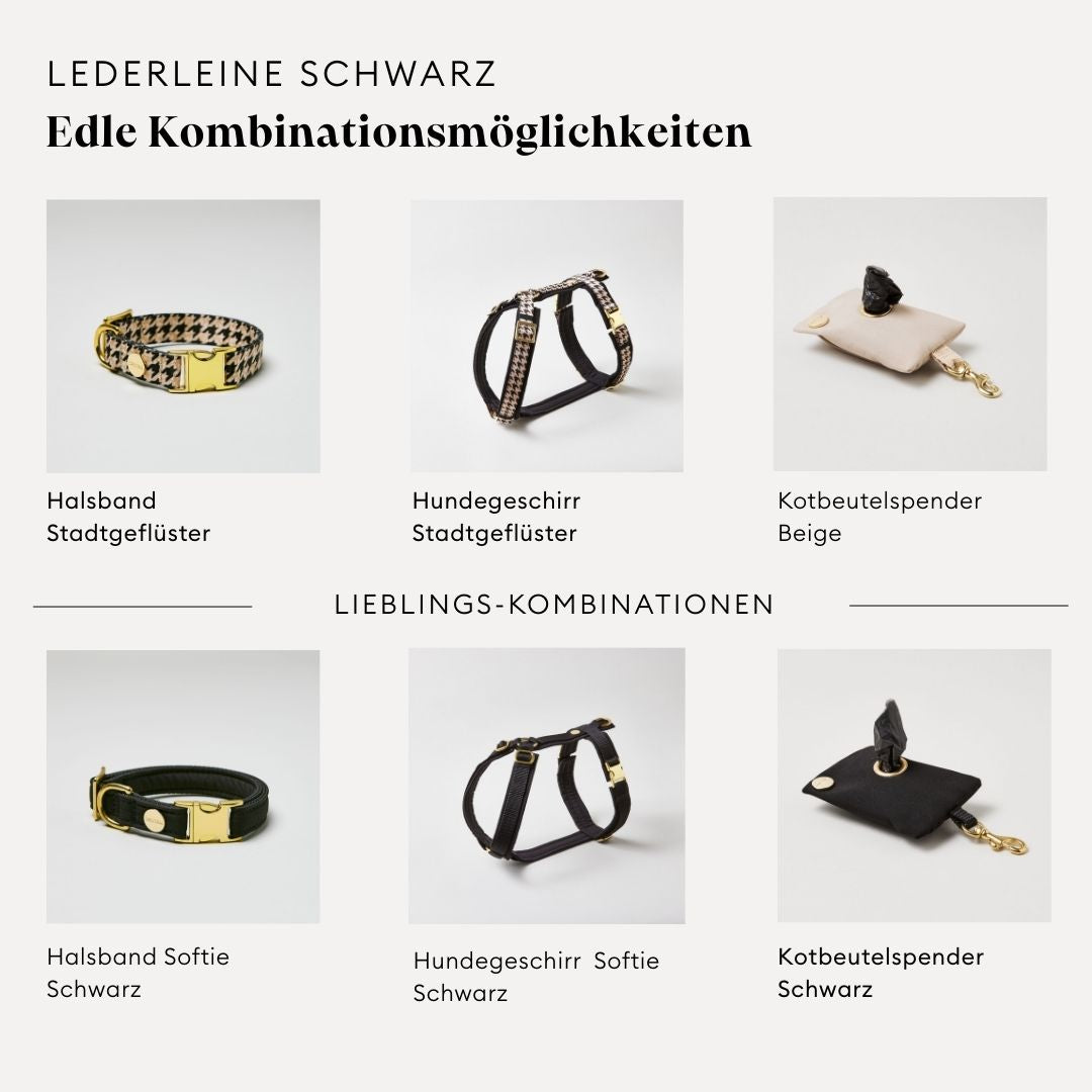 isartau Lederleine in Schwarz, Kombinationsmöglichkeiten mit Halsband, Geschirr und Kotbeutelspender