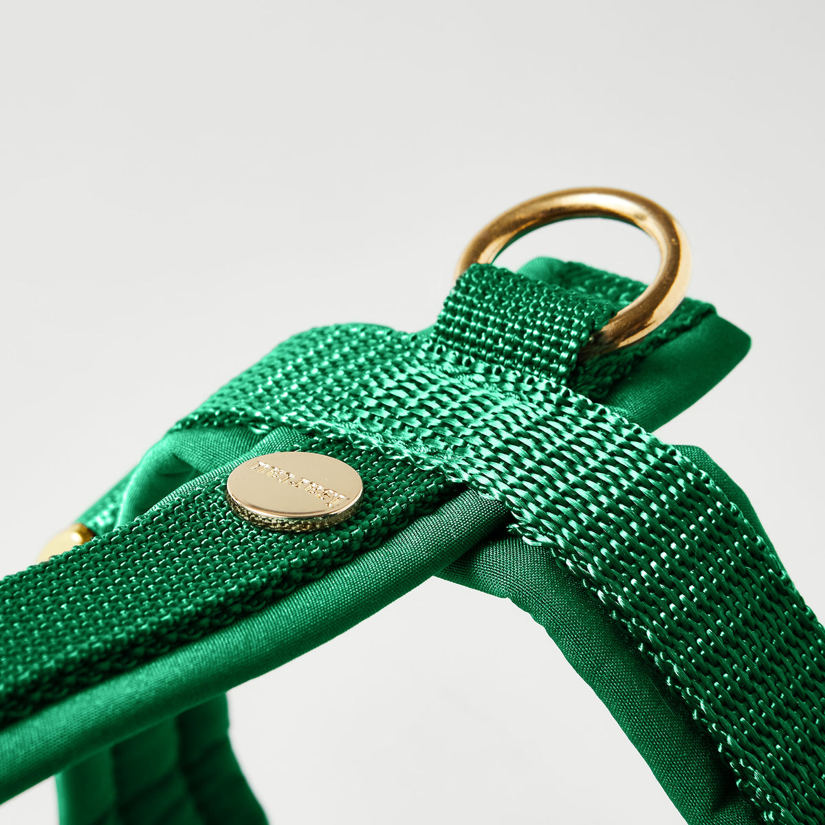 Rückenstück des grünen Hundegeschirrs mit goldfarbenem O-Ring und Logo-Niete
SG-GRU-g-detail-4.jpg	Goldfarbene Steckschließe am grünen Hundegeschirr