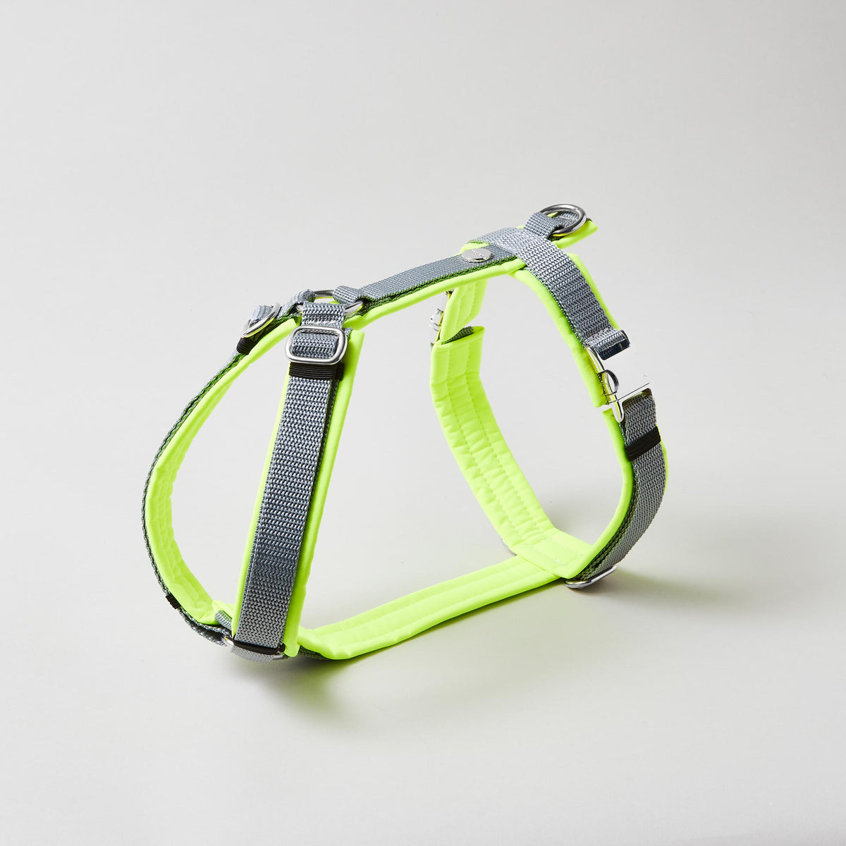 Verstellbares Hundegeschirr Softie Neongelb Grau mit grauem Gurtband und vollunterlegter Polsterung aus neongelbem Softshell, silberfarbene Beschläge