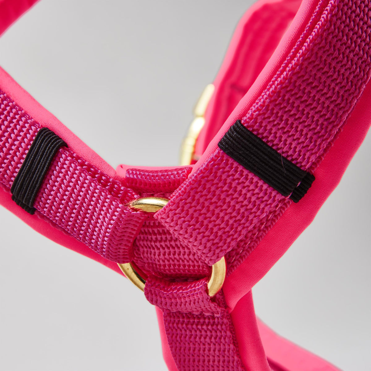 Y-förmiges Hundegeschirr in Neonpink mit Polsterung aus Softshell und goldfarbenen Beschlägen