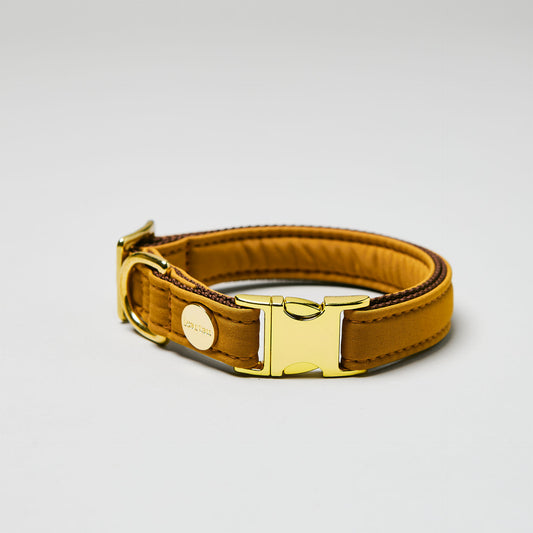 isartau Halsband Softie Karamell, goldene Beschläge