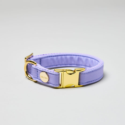 isartau Halsband Softie Lavendel, goldene Beschläge