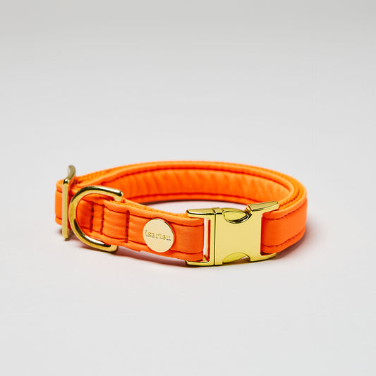 isartau Halsband Softie Neonorange, goldene Beschläge