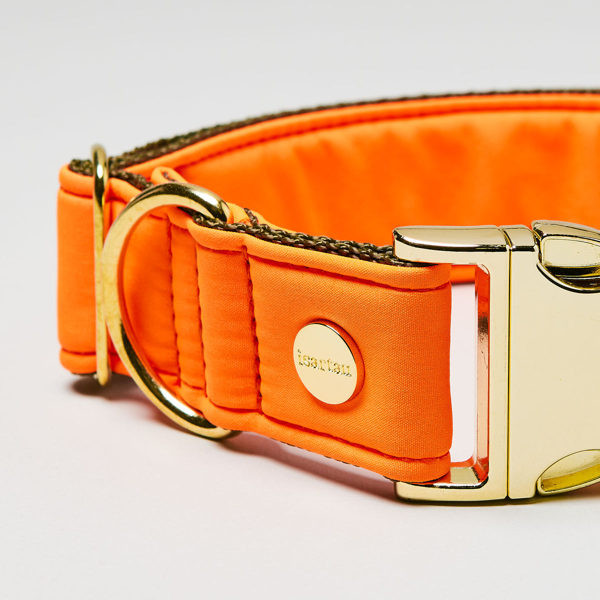 isartau Halsband Softie Neonorange-Oliv, goldene Beschläge, Detailansicht