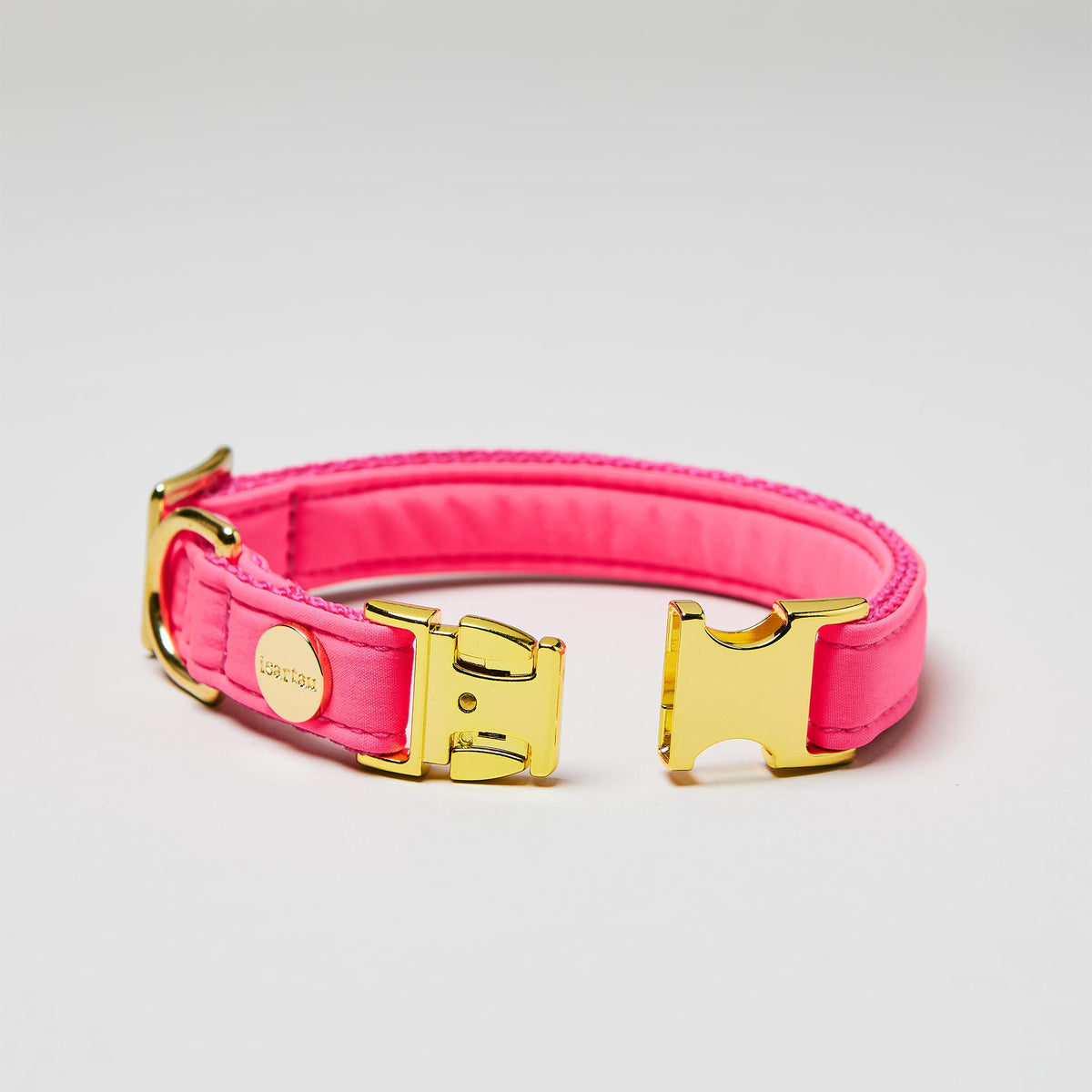 isartau Halsband Softie Neonpink, goldene Beschläge, Detailansicht