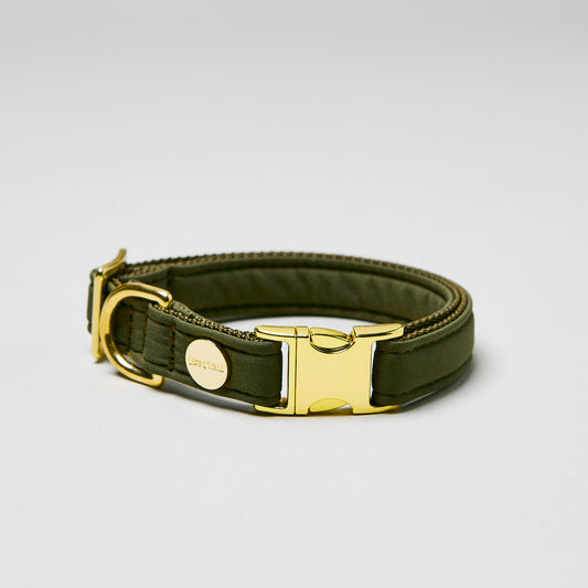 isartau Halsband Softie Oliv, goldene Beschläge