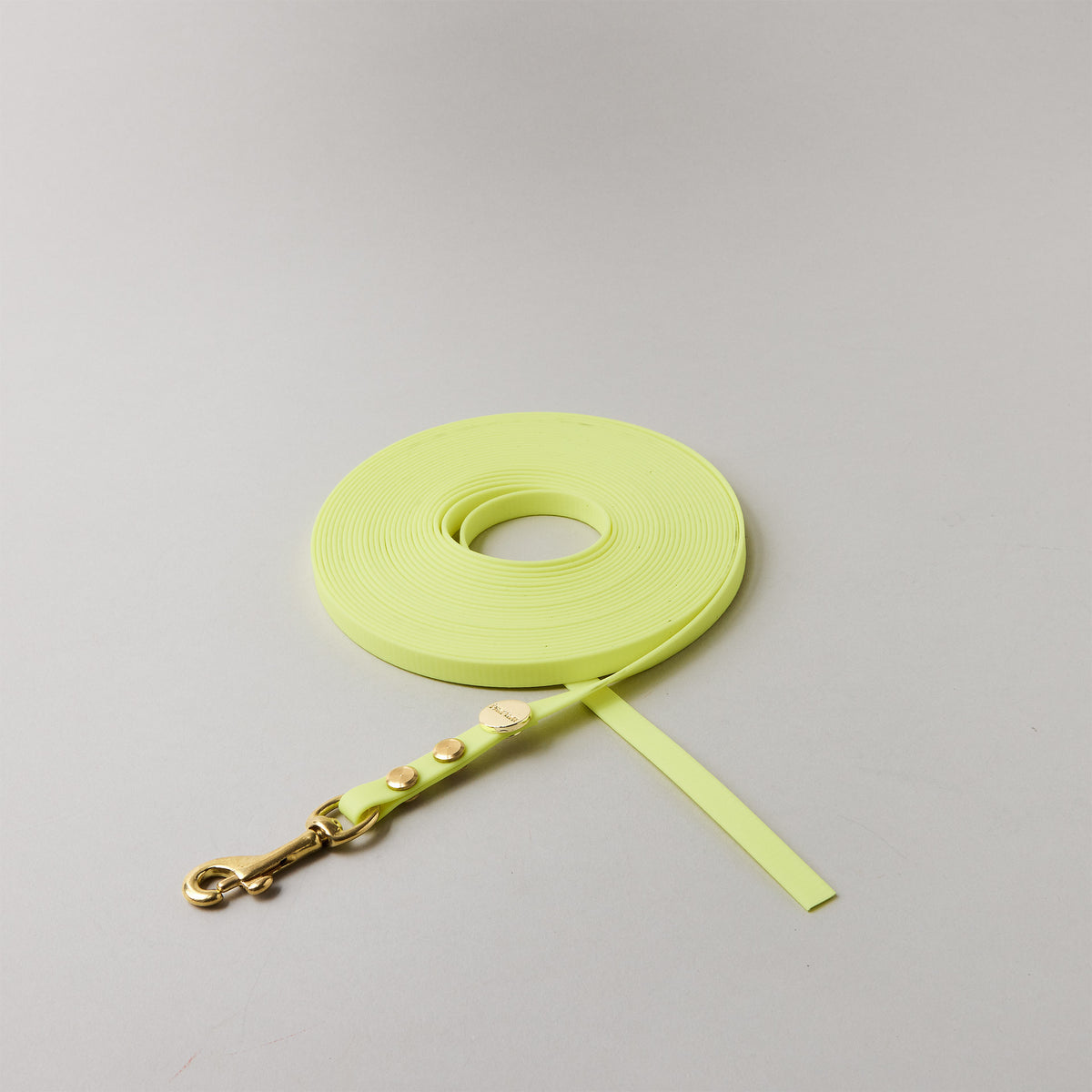 Schleppleine Neongelb, 9mm breit, Mini-Bolzenkarabiner aus Messing, ohne Handschlaufe