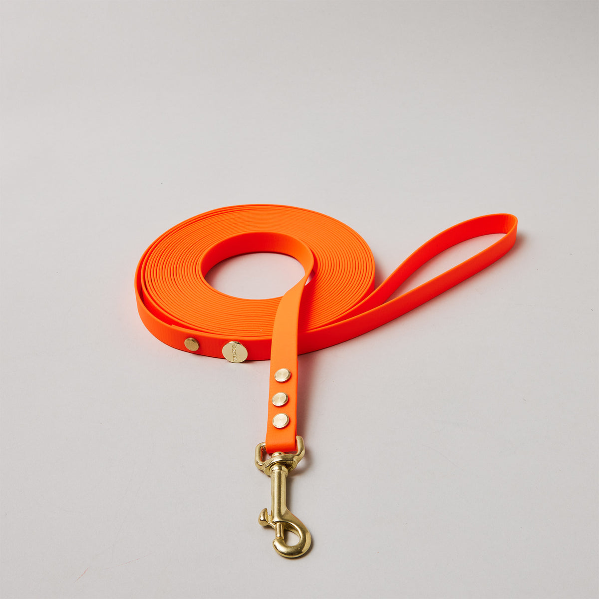 Schleppleine mit Handschlaufe in Neonorange, Bolzenkarabiner aus Messing