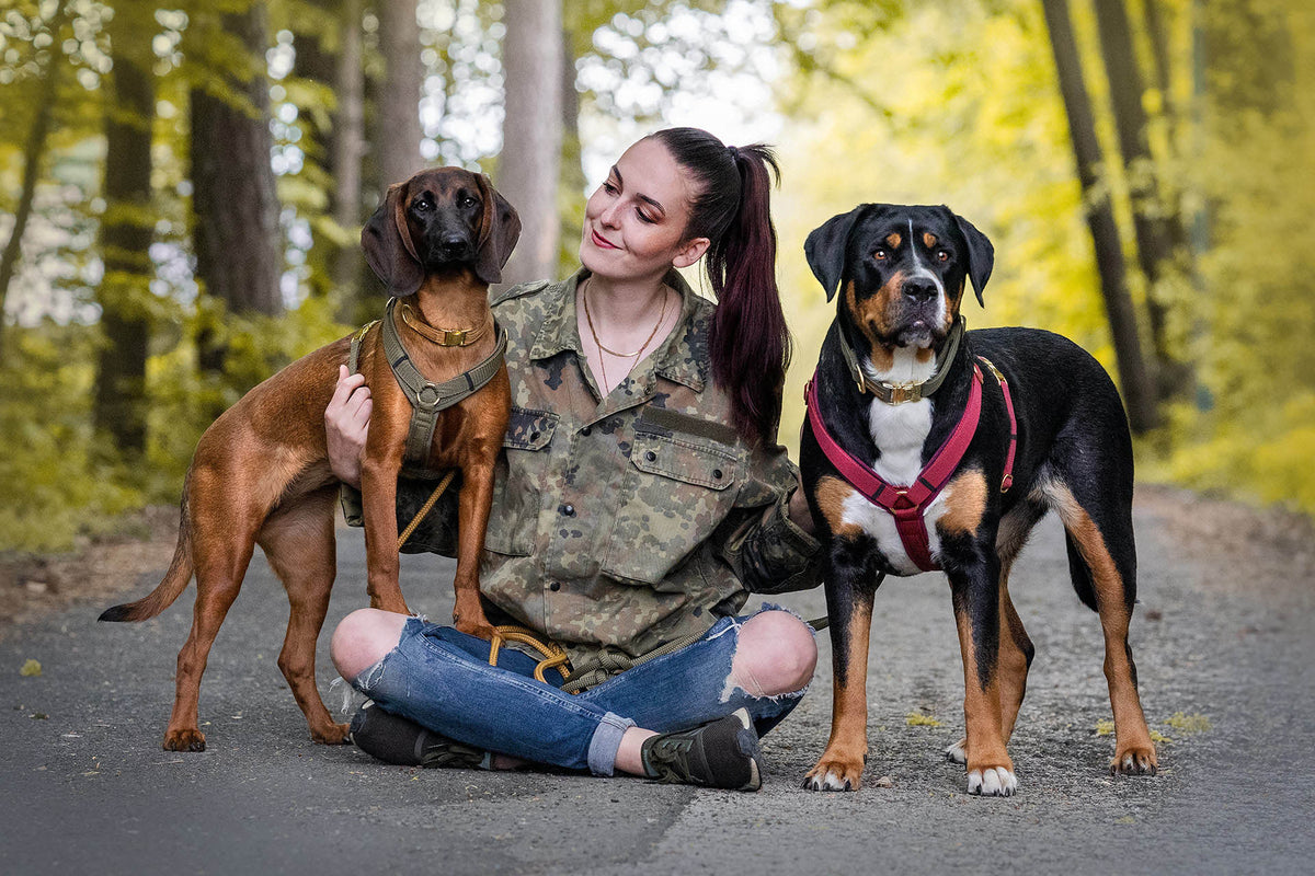 isartau Hundegeschirr Softie Burgunder – Stimmungsbild mit Hund