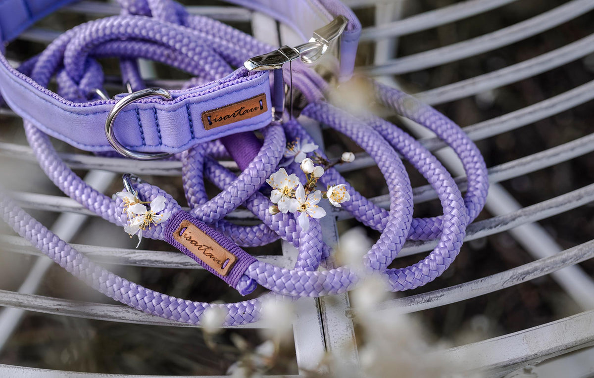 isartau Halsband Softie Lavendel – Stimmungsbild