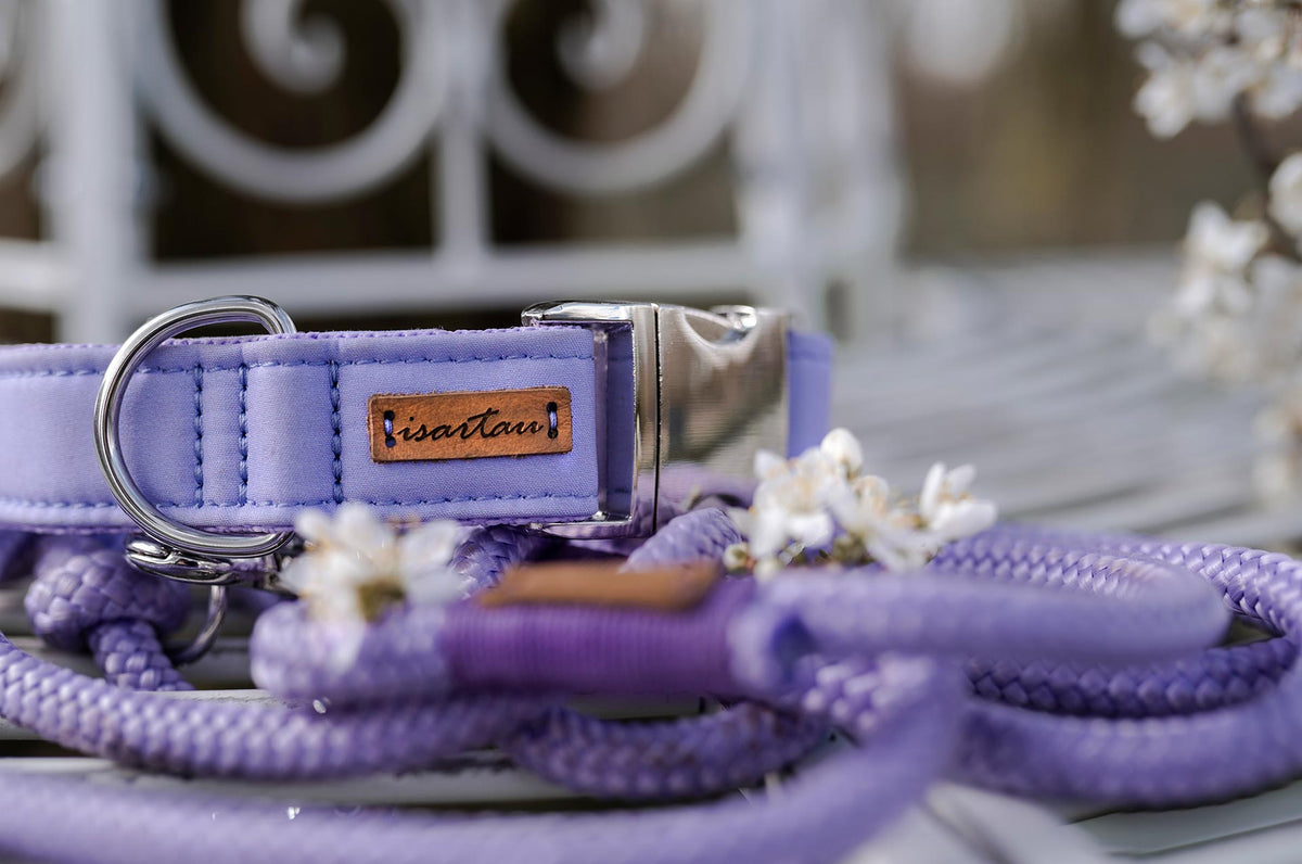 isartau Halsband Softie Lavendel – Stimmungsbild