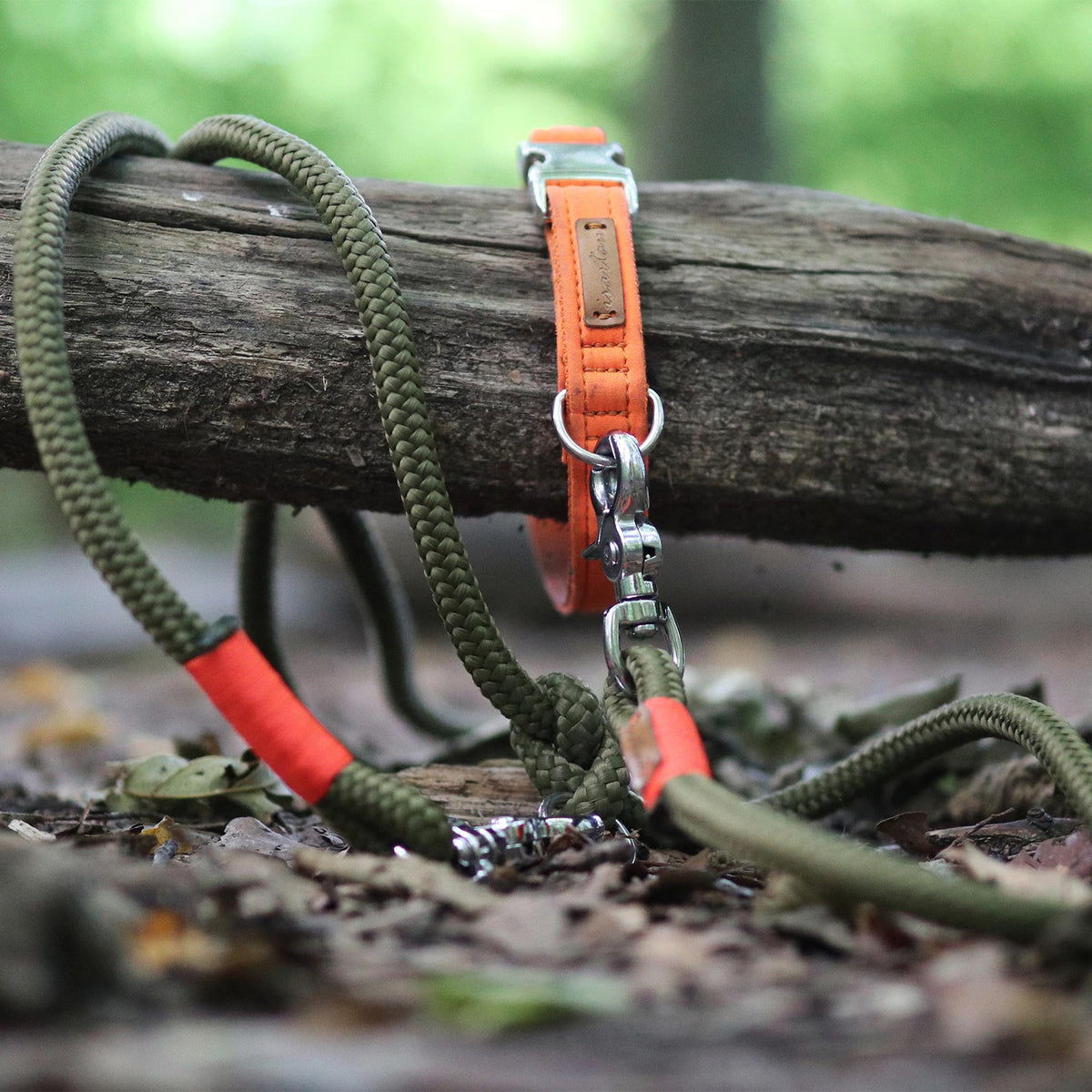 isartau Halsband Softie Neonorange – Stimmungsbild