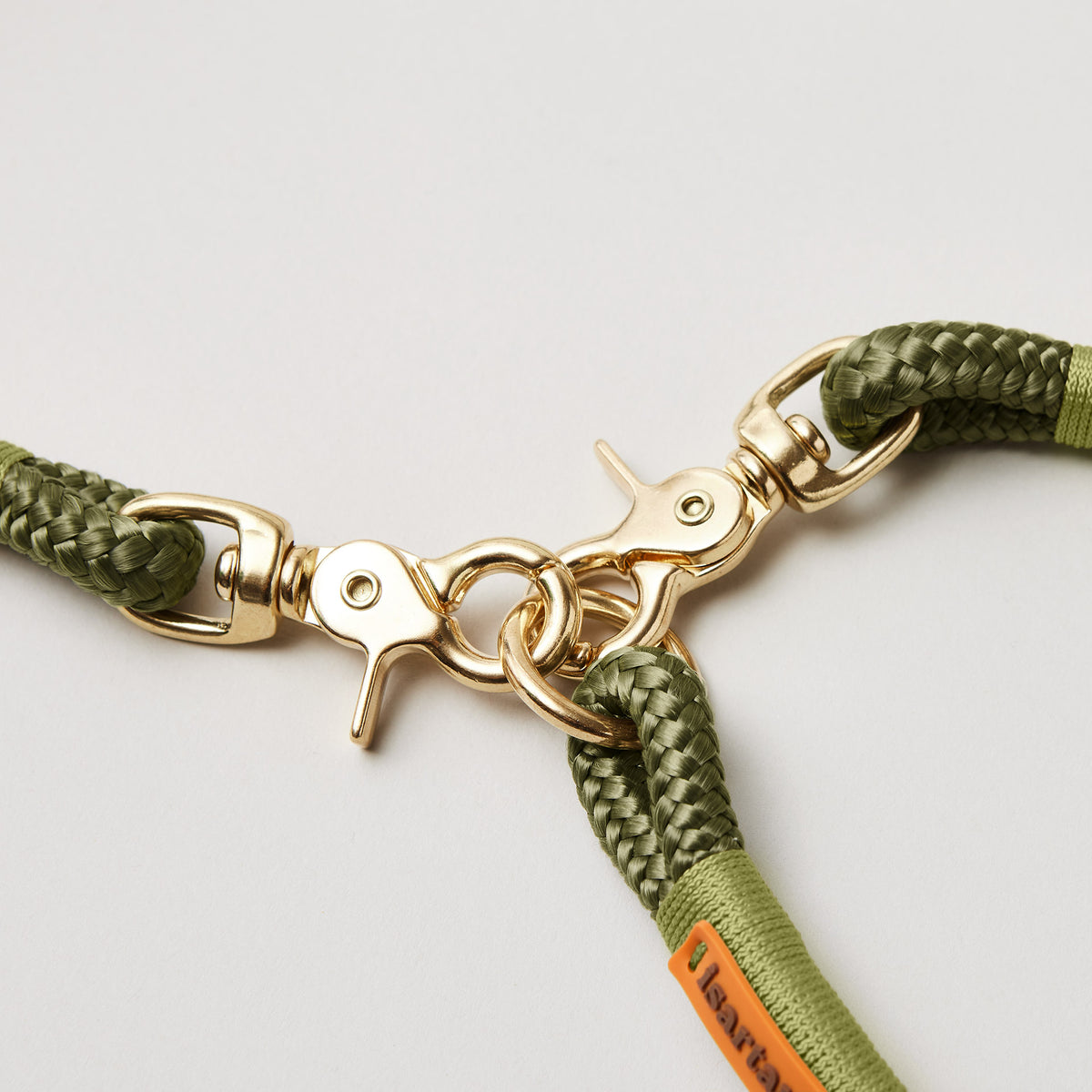 Detail Ring und Scherenkarabiner am Modell Feste Halsung Olive Grove Moos, olivfarbenes Softtau mit grüne Takelung