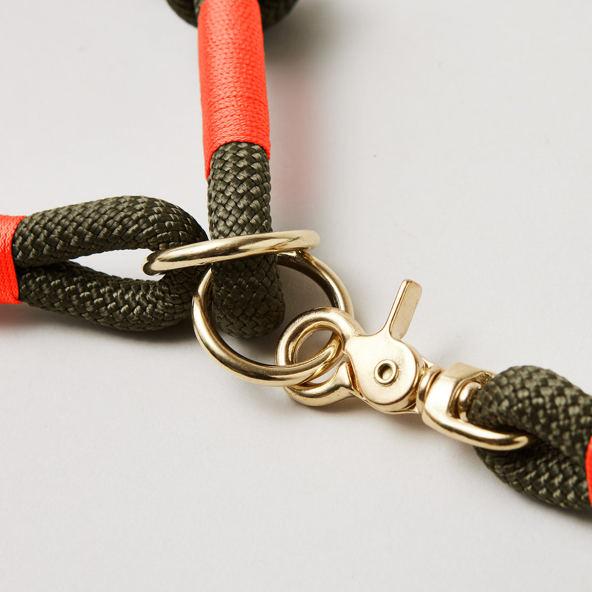 Detail Halsband und Tauleine in der Farbe Olive Grove Neonorange aus Kletterseil, Messing