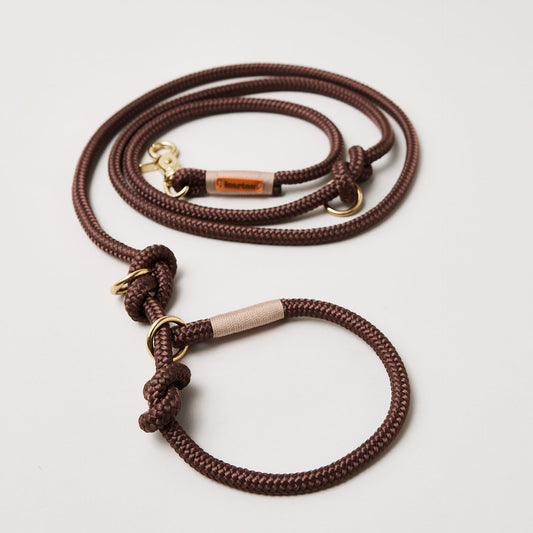 Retrieverleine aus Tau Classy Chestnut Beige, Halsung mit integrierter Leine, goldene Messingkarabiner, 2-fach längenverstellbar, erhältlich in 8 und 10 mm