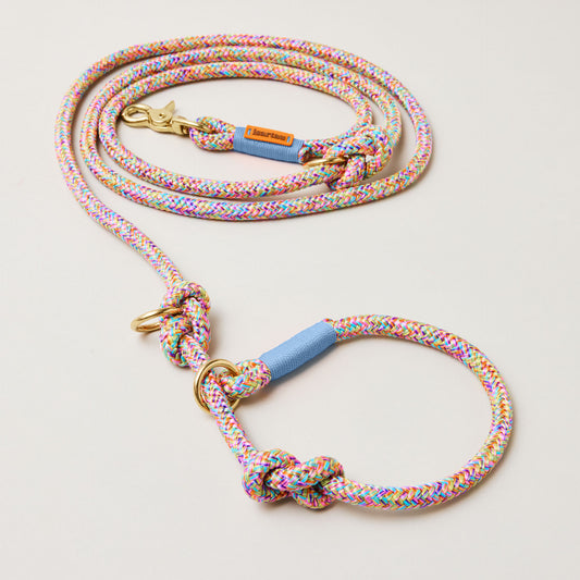 Bunte Retrieverleine Easy Summer Hellblau, Messing, 2-fach verstellbar