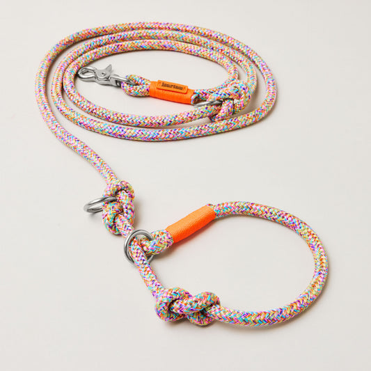 Bunte Retrieverleine Easy Summer Neonorange, silberfarben, 2-fach verstellbar