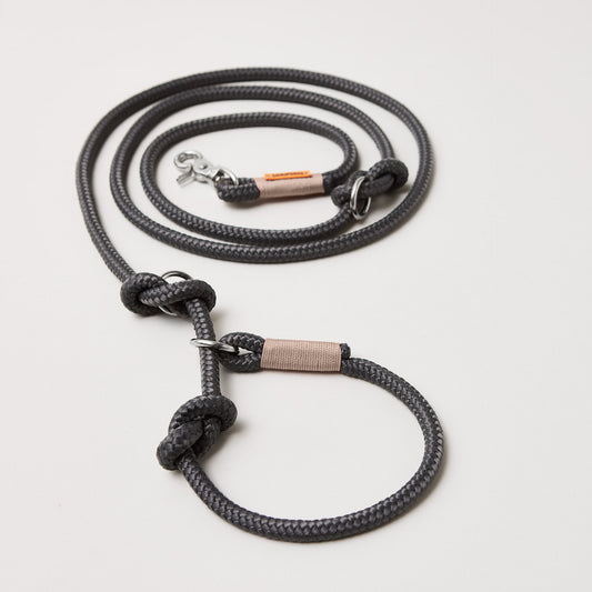 Retrieverleine aus Tau Heavens Rock, Halsung mit integrierter Leine, silberne Karabiner, 2-fach längenverstellbar, erhältlich in 8 und 10 mm