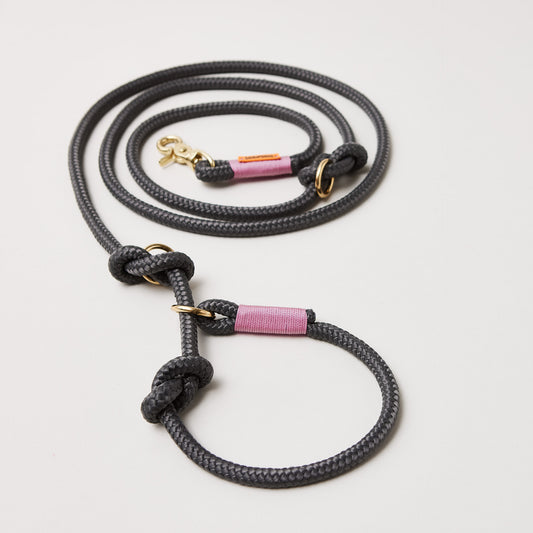 Retrieverleine aus Tau Heavens Rock Rose, Halsung mit integrierter Leine, goldene Messingkarabiner, 2-fach längenverstellbar, erhältlich in 8 und 10 mm