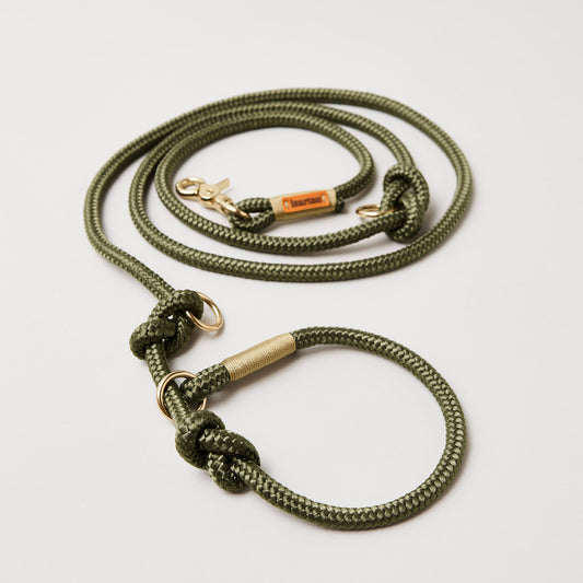 Retrieverleine aus Tau Olive Grove Gold, Halsung mit integrierter Leine, goldene Messingkarabiner, 2-fach längenverstellbar, erhältlich in 8 und 10 mm