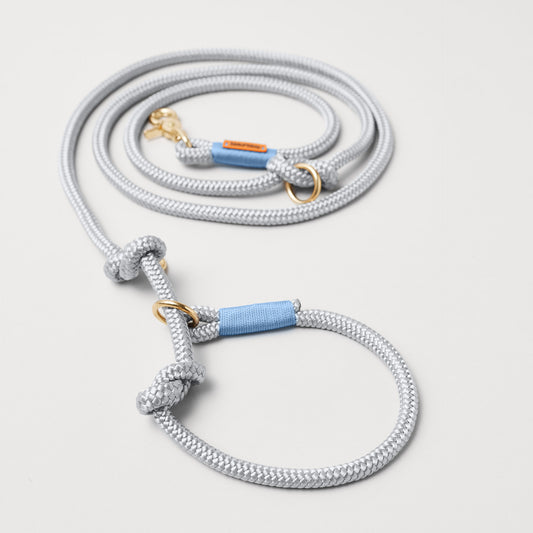 Retrieverleine aus Tau Pebble Stone Hellblau, Halsung mit integrierter Leine, goldene Messingkarabiner, 2-fach längenverstellbar, 10 mm